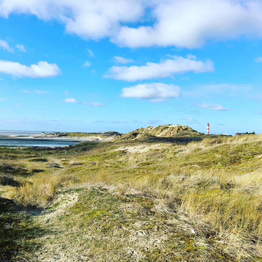 SURF Vue Mer 100m plage Berck Eksteriør bilde